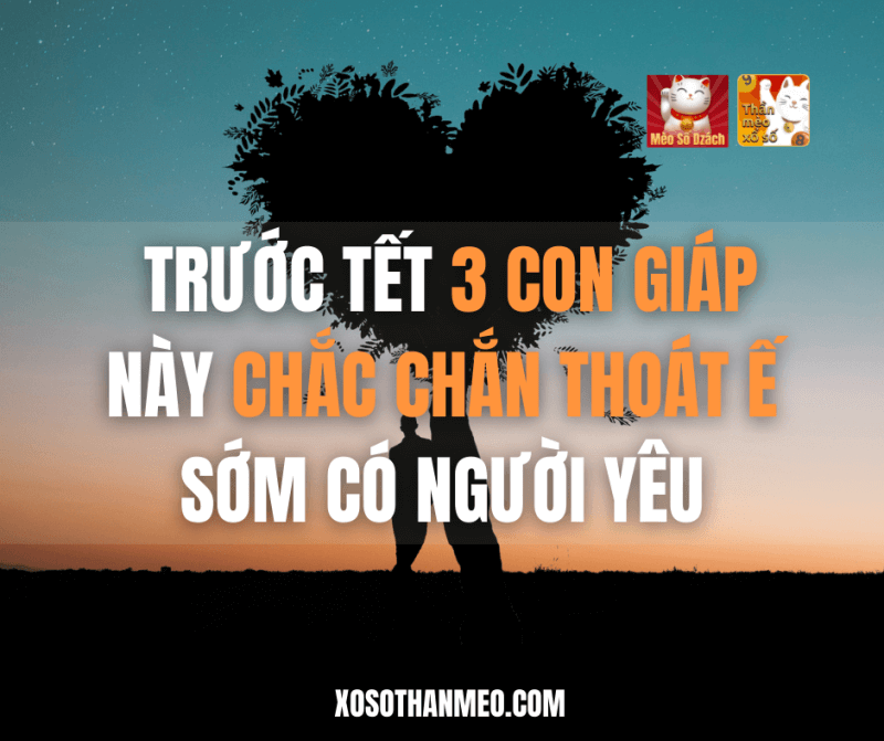 Trước Tết 3 con giáp này chắc chắn thoát ế, sớm có người yêu