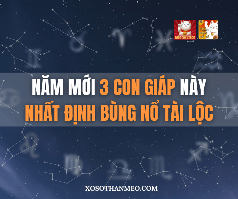 Xem ngay video này để biết mình có là một trong ba con giáp có tài lộc bùng nổ vào năm mới này không nhé. Đừng quên theo dõi Xổ Số Thần Mèo để cập nhật thông tin mới nhất.