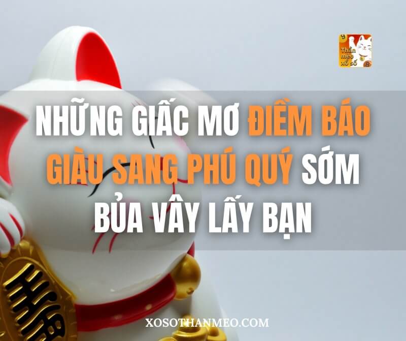 Những giấc mơ điềm báo giàu sang phú quý sớm bủa vây lấy bạn