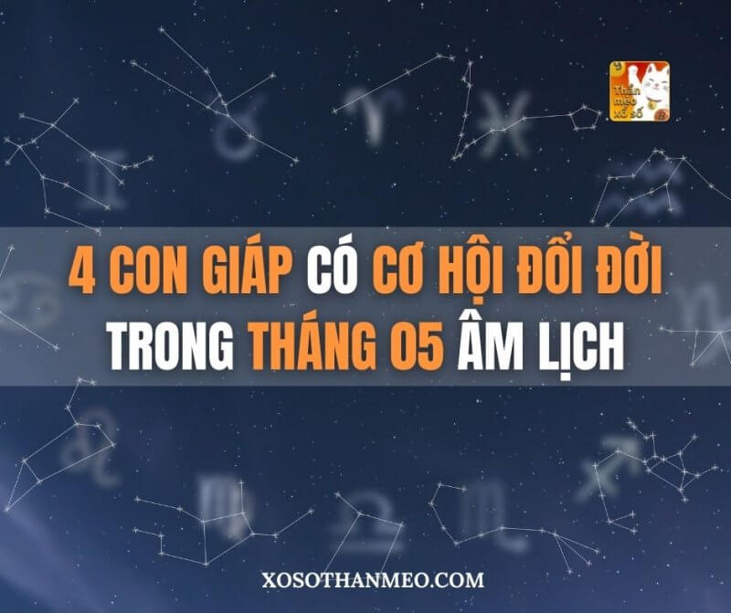 4 con giáp có cơ hội đổi đời trong tháng 05 âm lịch