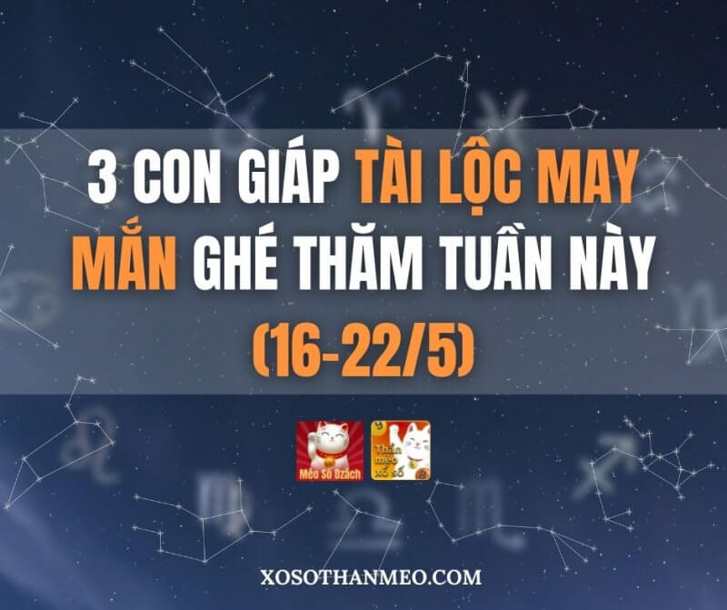 3 con giáp tài lộc, may mắn ghé thăm tuần này (16-22/5)