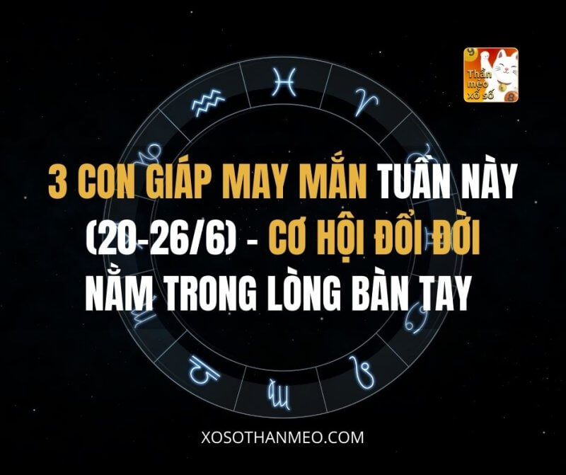 3 con giáp may mắn tuần này (20-26/6)