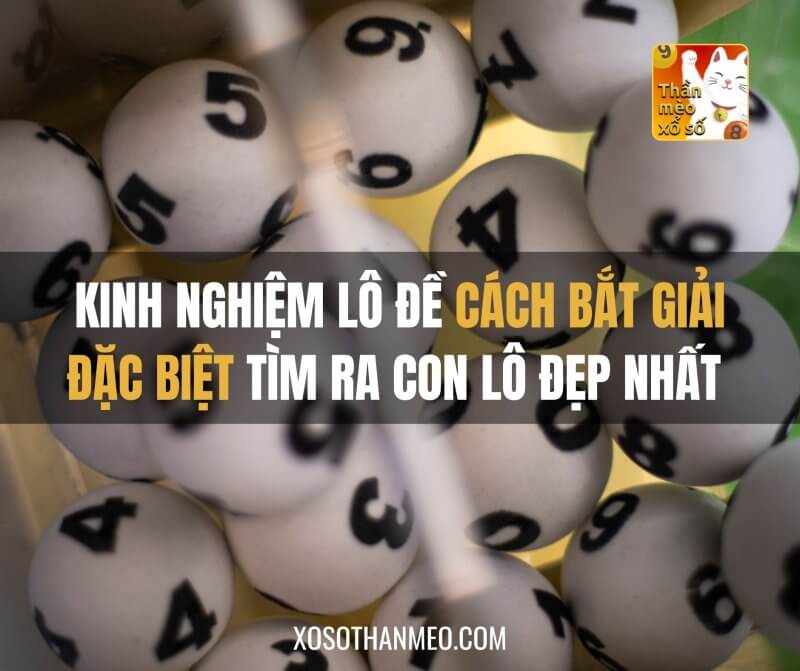 Kinh nghiệm lô đề cách bắt giải đặc biệt tìm ra con lô đẹp nhất