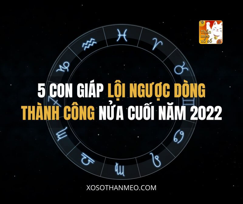 5 con giáp lội ngược dòng thành công nửa cuối năm 2022