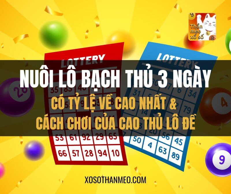 Nuôi lô bạch thủ 3 ngày tỷ lệ về cao nhất, cách chơi của cao thủ lô đề