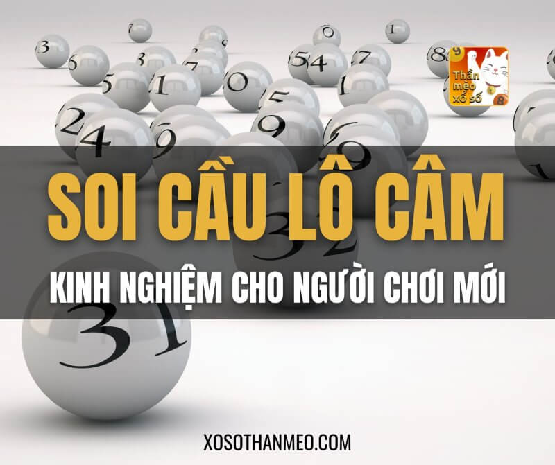 Soi cầu lô câm: kinh nghiệm hay cho người chơi