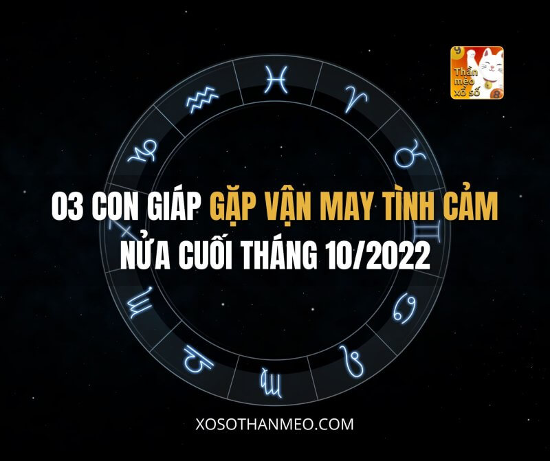 03 con giáp gặp vận may tình cảm nửa cuối tháng 10/2022