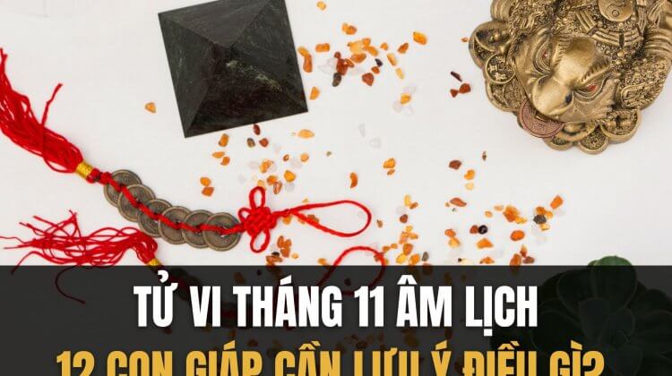 Tử vi tháng 11 âm lịch, 12 con giáp cần lưu ý điều gì?