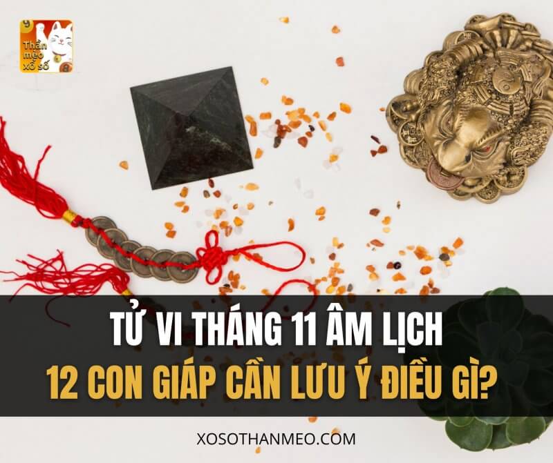 Tử vi tháng 11 âm lịch, 12 con giáp cần lưu ý điều gì?