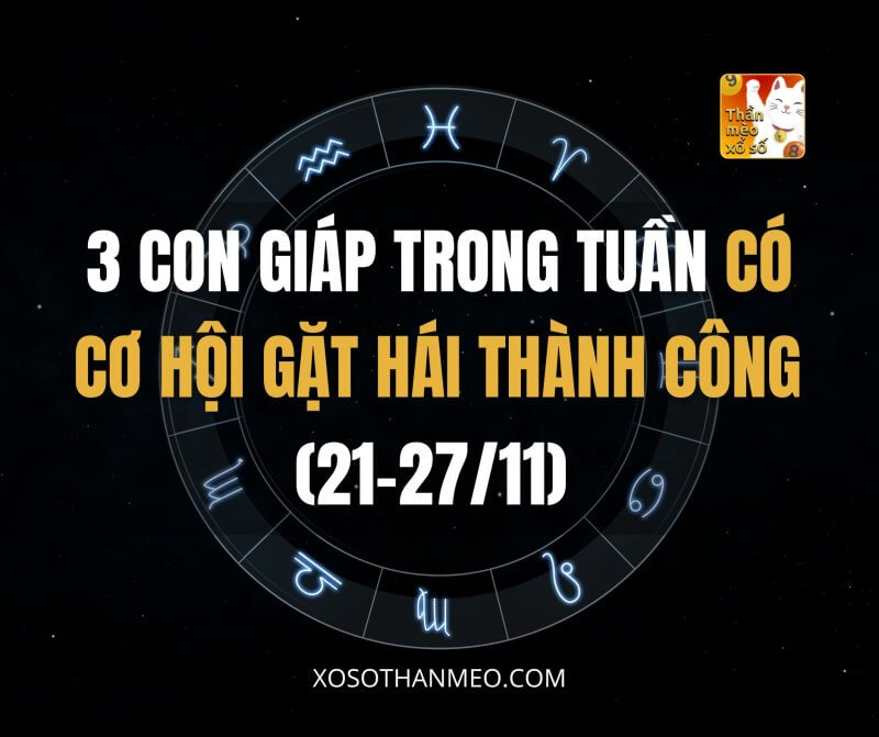 3 con giáp có cơ hội gặt hái thành công trong tuần (21-27/11)