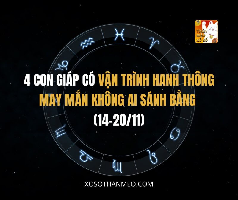 4 con giáp có vận trình hanh thông, may mắn không ai sánh bằng (14-20/11)