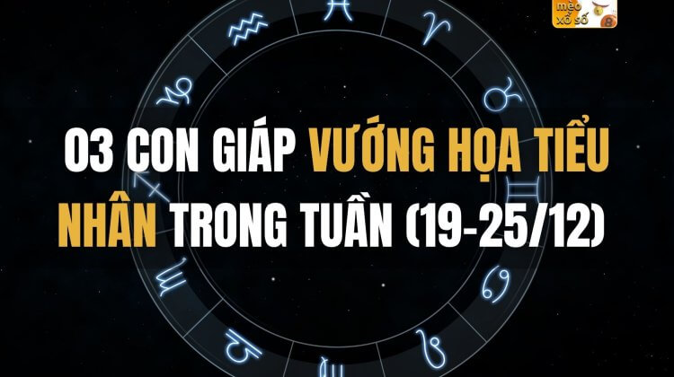 03 con giáp vướng họa tiểu nhân trong tuần (19-25/12)