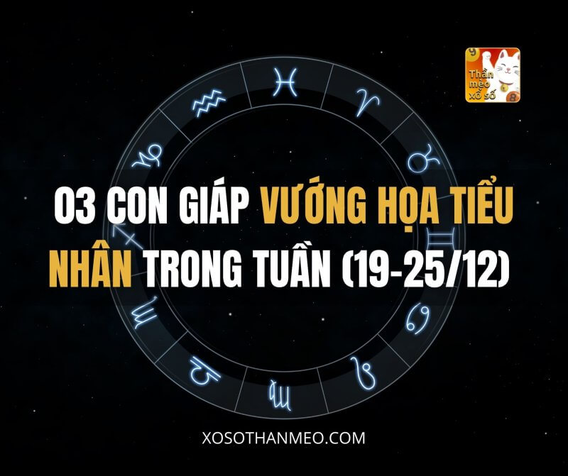 03 con giáp vướng họa tiểu nhân trong tuần (19-25/12)