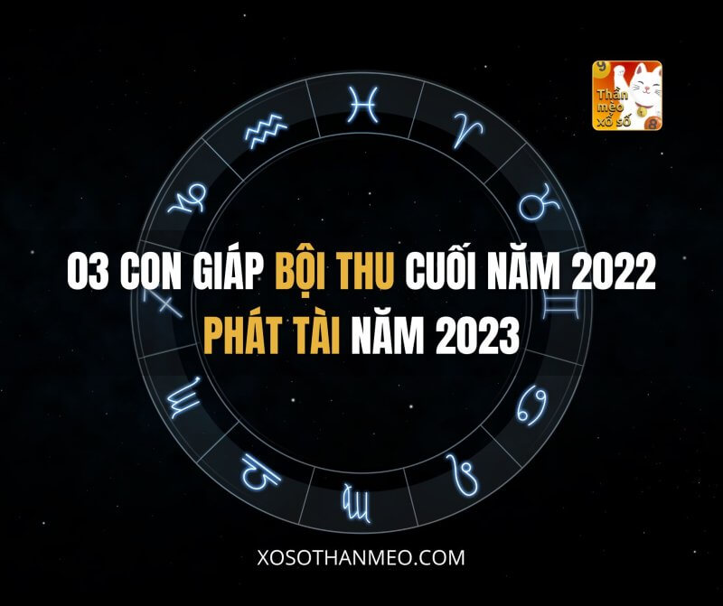 03 con giáp bội thu cuối năm 2022, phát tài năm 2023