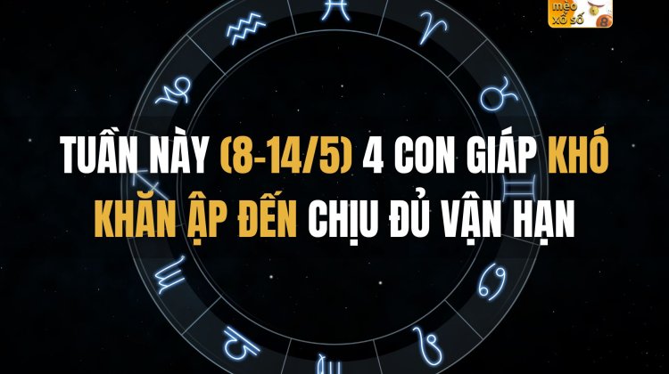 (8-14/5) 4 con giáp khó khăn ập đến chịu đủ vận hạn