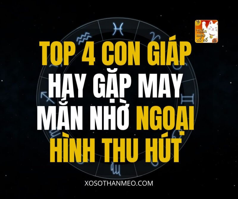 Top 4 con giáp hay gặp may mắn nhờ ngoại hình thu hút