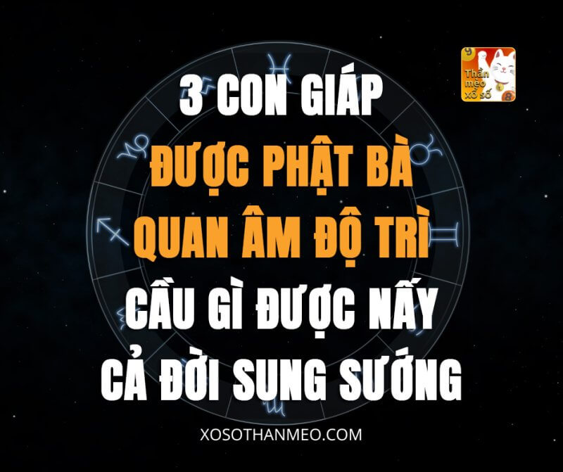 3 con giáp được Phật Bà Quan Âm độ trì, cầu gì được nấy, cả đời sung sướng