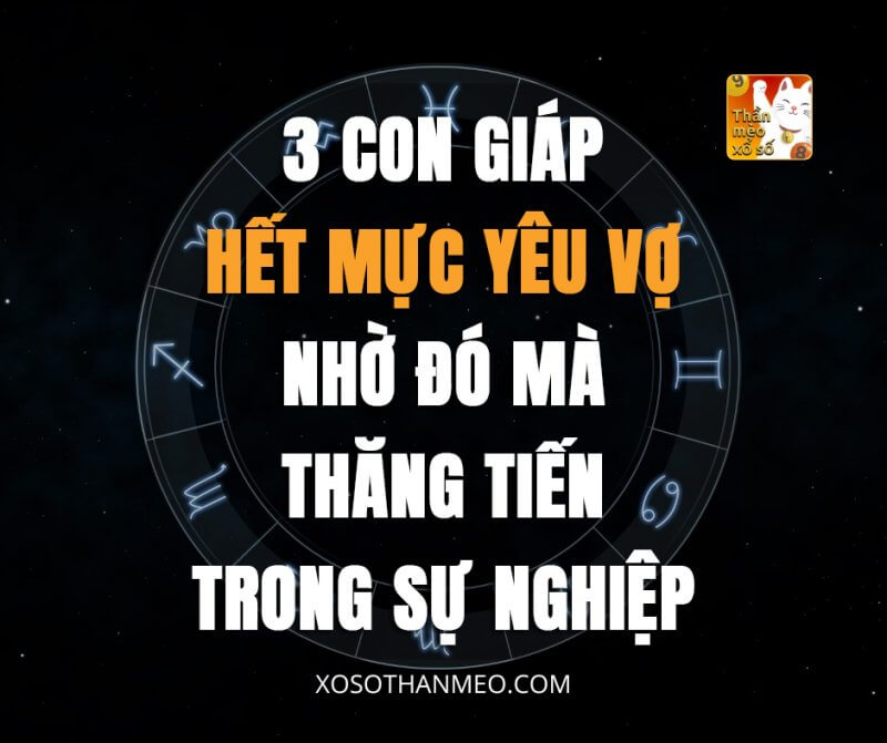 3 con giáp hết mực yêu vợ, nhờ đó mà thăng tiến trong sự nghiệp