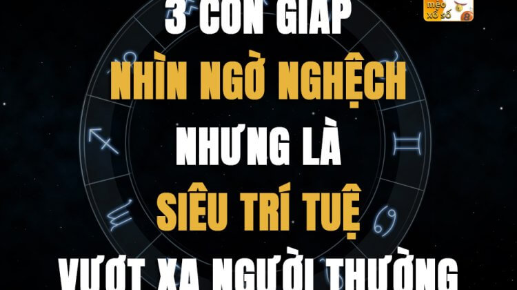 3 con giáp nhìn ngờ nghệch nhưng là siêu trí tuệ vượt xa người thường