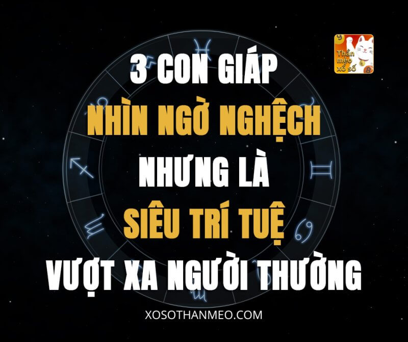 3 con giáp nhìn ngờ nghệch nhưng là siêu trí tuệ vượt xa người thường