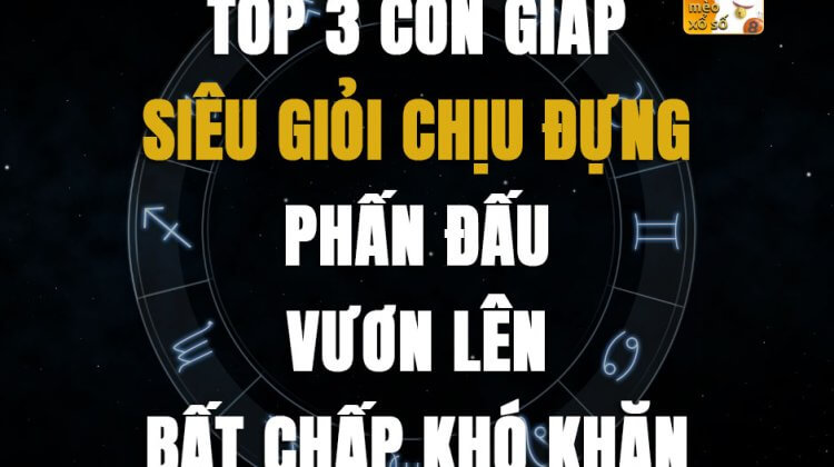 Top 3 con giáp siêu giỏi chịu đựng, phấn đấu vươn lên bất chấp khó khăn