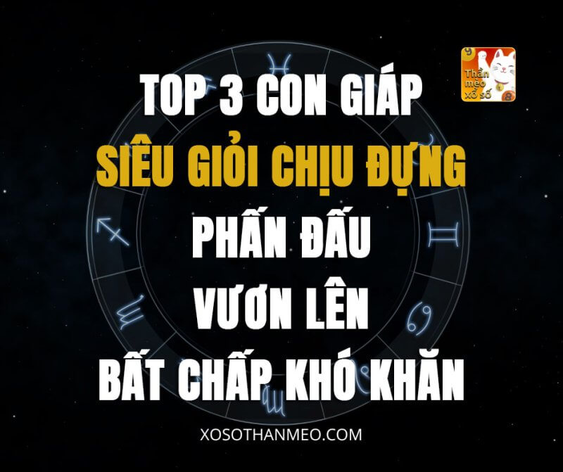 Top 3 con giáp siêu giỏi chịu đựng, phấn đấu vươn lên bất chấp khó khăn