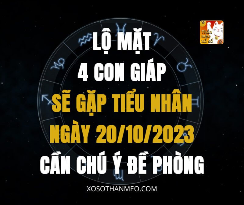 Lộ mặt 4 con giáp sẽ gặp tiểu nhân ngày 20/10/2023, cần chú ý đề phòng