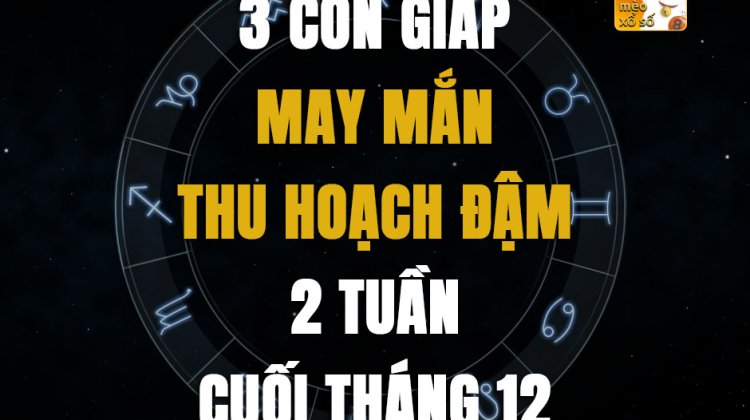 3 con giáp may mắn thu hoạch đậm 2 tuần cuối tháng 12