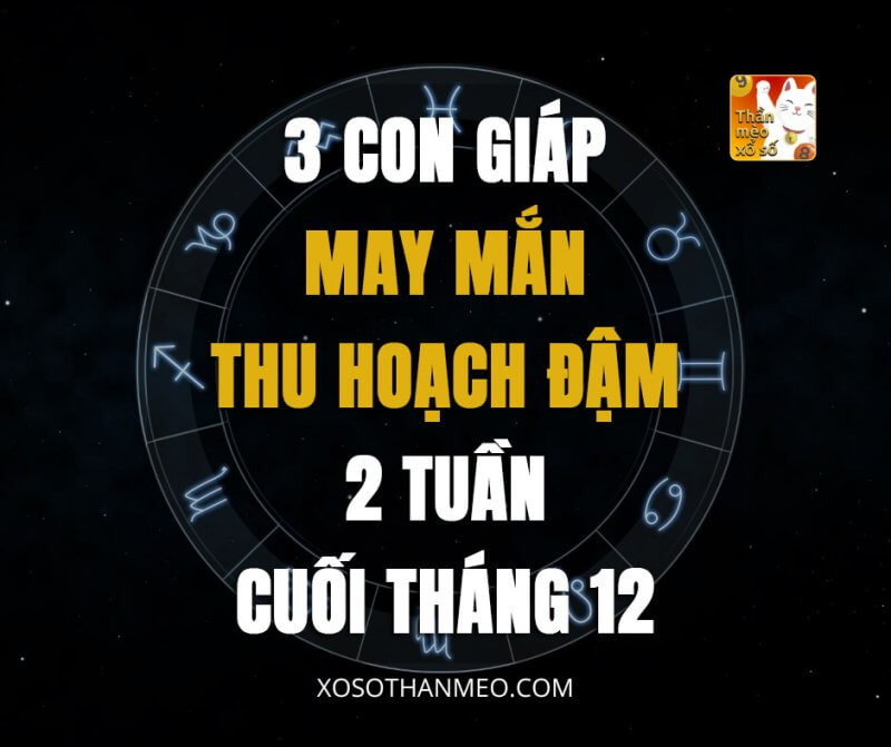 3 con giáp may mắn thu hoạch đậm 2 tuần cuối tháng 12