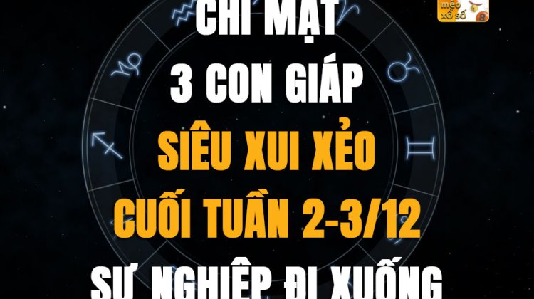 Chỉ mặt 3 con giáp siêu xui xẻo cuối tuần 2-3/12, sự nghiệp đi xuống