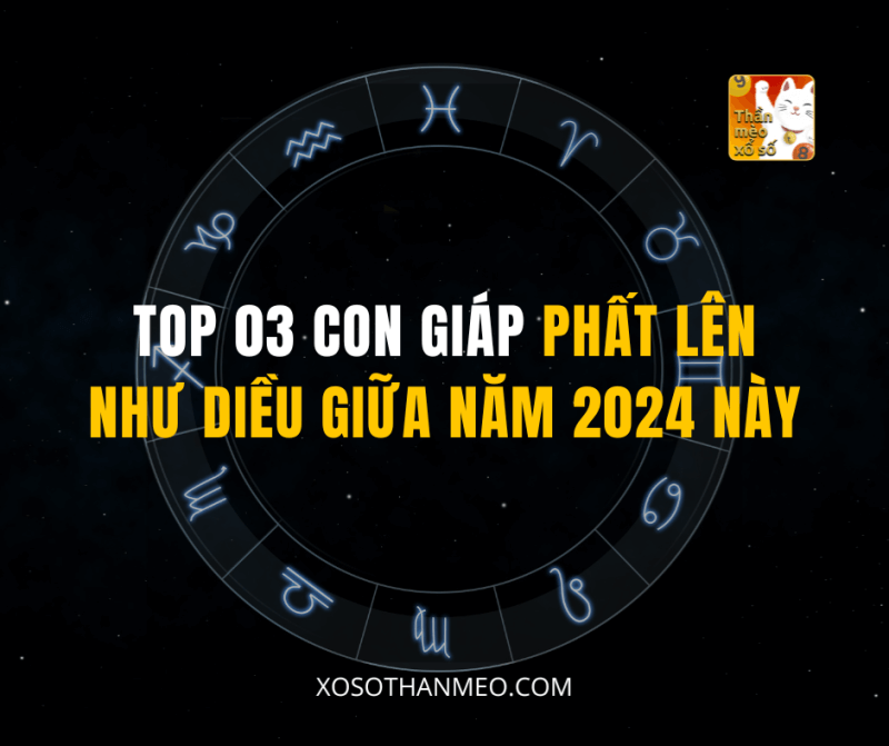 TOP 03 CON GIÁP PHẤT LÊN NHƯ DIỀU GIỮA NĂM 2024 NÀY