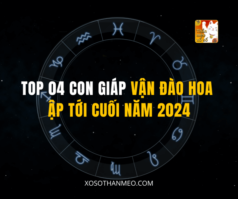 TOP 04 CON GIÁP VẬN ĐÀO HOA ẬP TỚI CUỐI NĂM