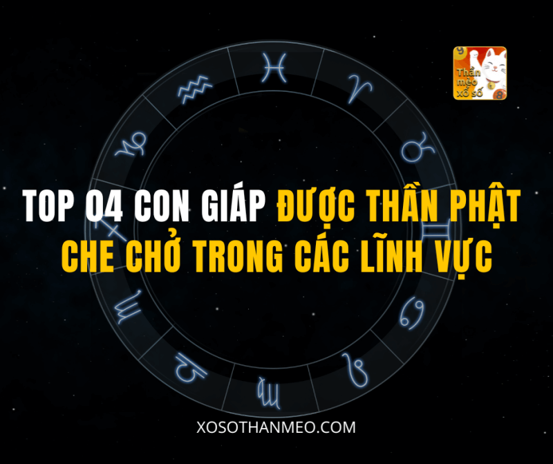 TOP 04 CON GIÁP ĐƯỢC THẦN PHẬT CHE CHỞ TRONG CÁC LĨNH VỰC