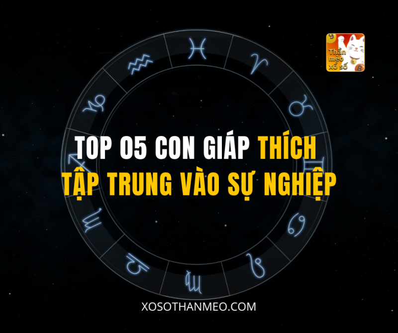 TOP 05 CON GIÁP THÍCH TẬP TRUNG VÀO SỰ NGHIỆP