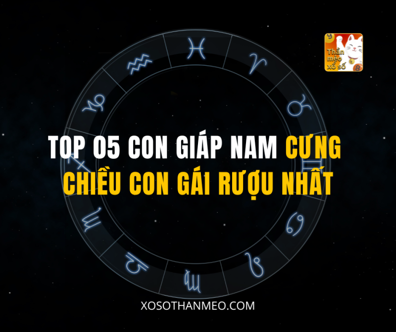 TOP 05 CON GIÁP NAM CƯNG CHIỀU CON GÁI RƯỢU NHẤT