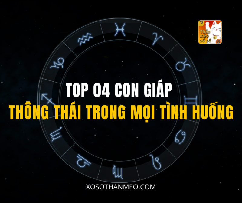 TOP 04 CON GIÁP THÔNG THÁI TRONG MỌI TÌNH HUỐNG