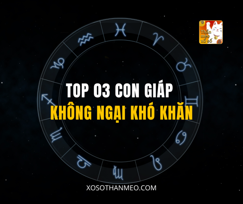 TOP 03 CON GIÁP KHÔNG NGẠI KHÓ KHĂN