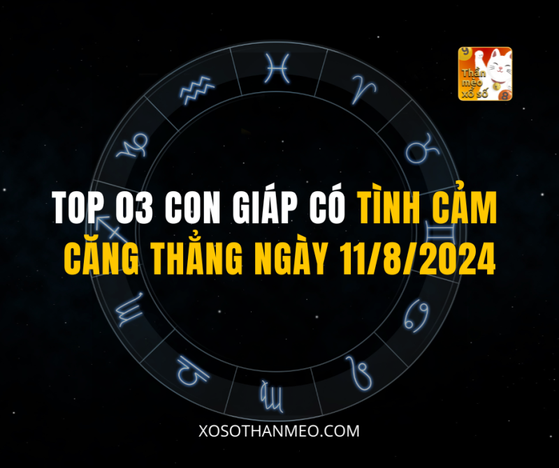 TOP 03 CON GIÁP CÓ TÌNH CẢM CĂNG THẲNG NGÀY 11/8/2024