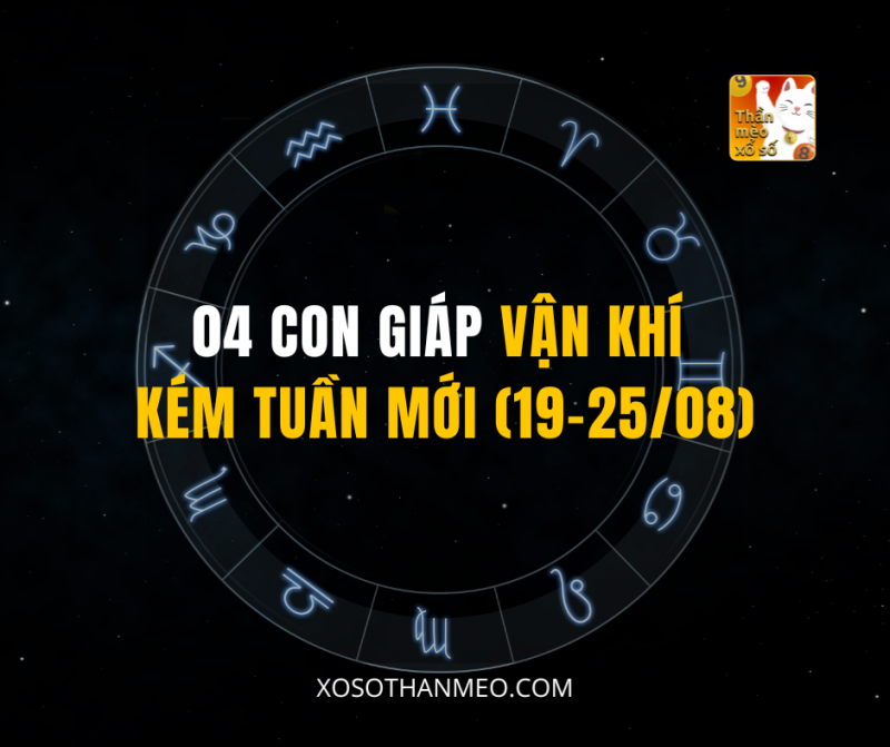 04 CON GIÁP VẬN KHÍ KÉM TUẦN MỚI (19-25/08)