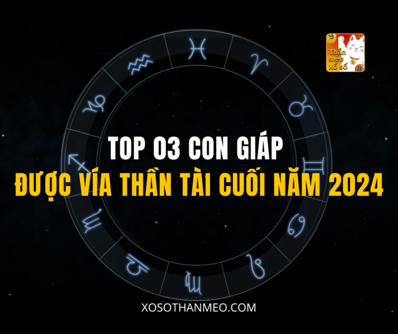 TOP 03 CON GIÁP ĐƯỢC VÍA THẦN TÀI CUỐI NĂM 2024