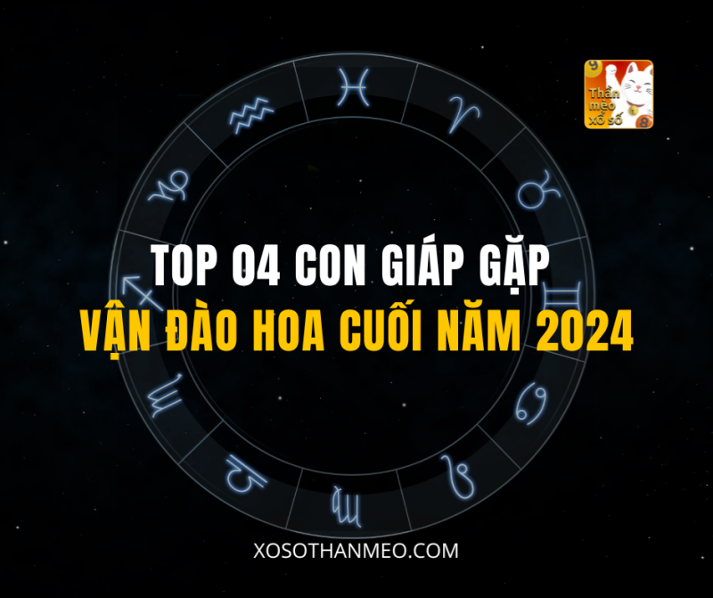 TOP 04 CON GIÁP GẶP VẬN ĐÀO HOA CUỐI NĂM 2024