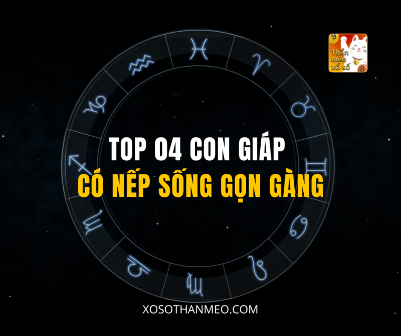 TOP 04 CON GIÁP CÓ NẾP SỐNG GỌN GÀNG