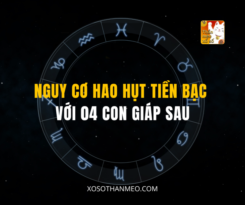 NGUY CƠ HAO HỤT TIỀN BẠC VỚI 04 CON GIÁP SAU