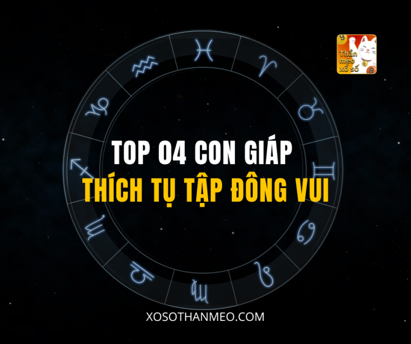 TOP 04 CON GIÁP THÍCH TỤ TẬP ĐÔNG VUI