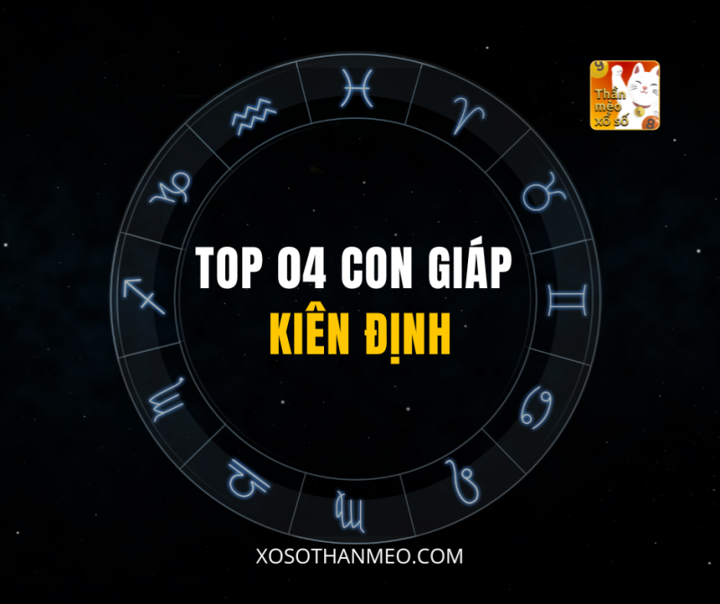 TOP 04 CON GIÁP KIÊN ĐỊNH