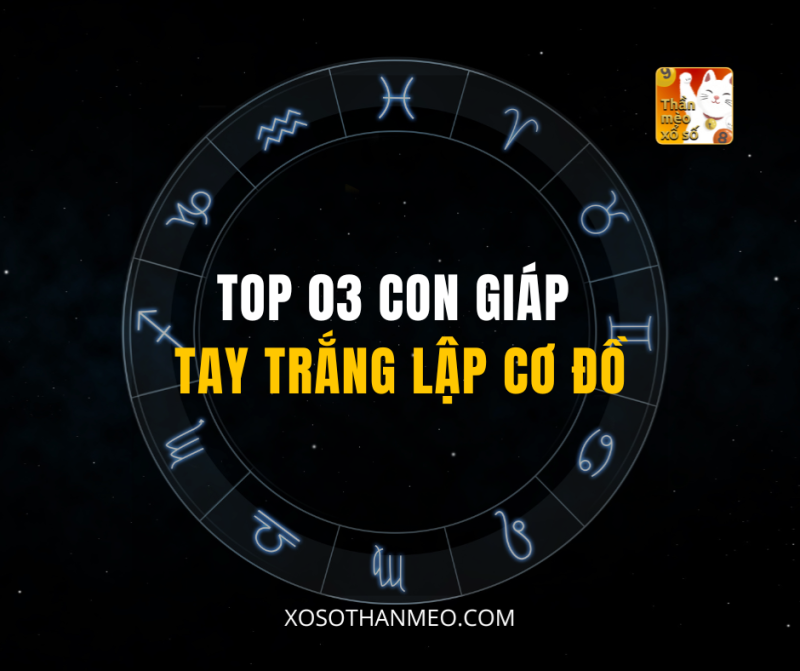 TOP 03 CON GIÁP TAY TRẮNG LẬP CƠ ĐỒ