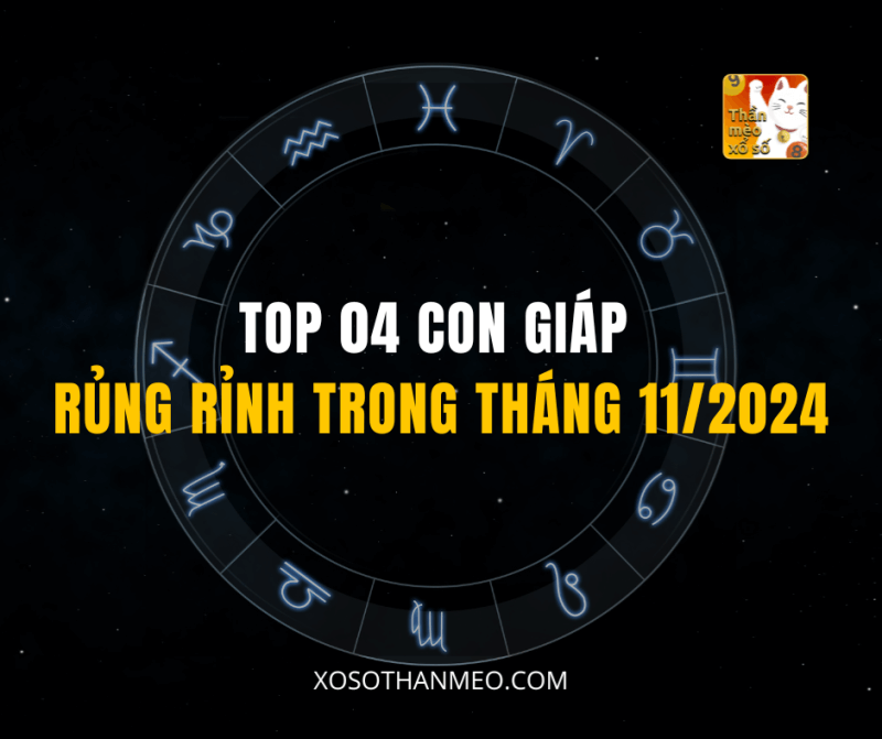 TOP 04 CON GIÁP RỦNG RỈNH TRONG THÁNG 11/2024