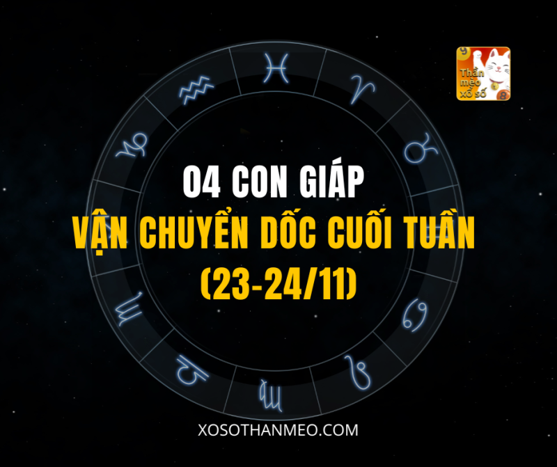 04 CON GIÁP VẬN CHUYỂN DỐC CUỐI TUẦN (23-24/11)