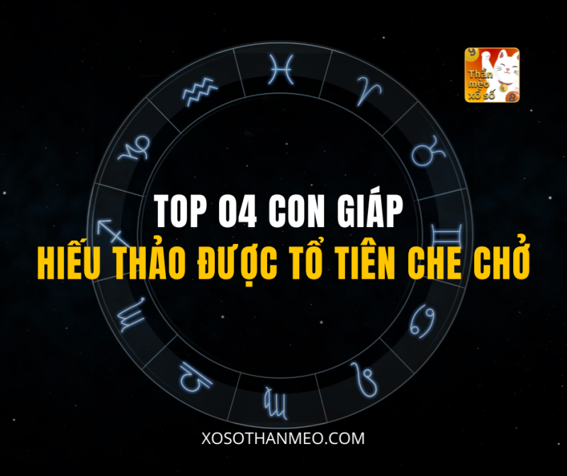 TOP 04 CON GIÁP HIẾU THẢO ĐƯỢC TỔ TIÊN CHE CHỞ