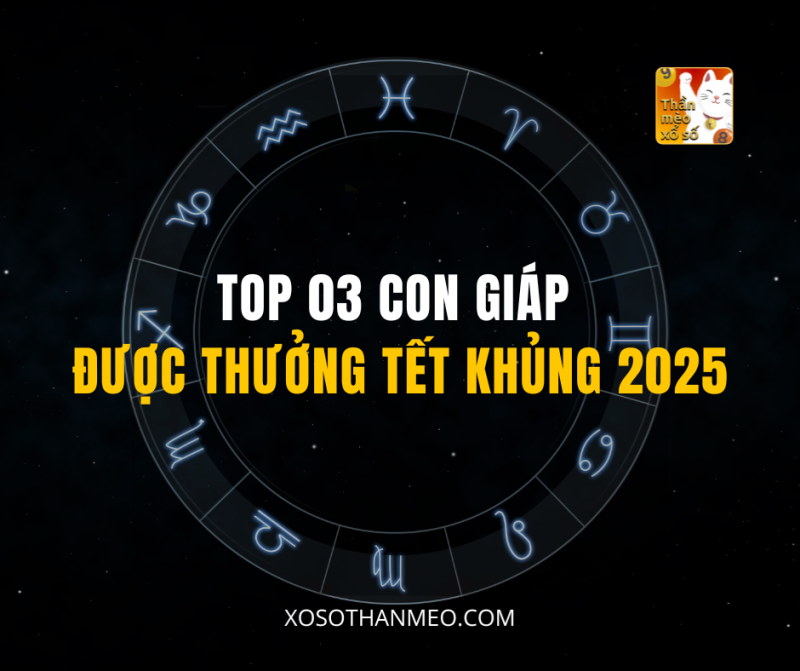 TOP 03 CON GIÁP ĐƯỢC THƯỞNG TẾT KHỦNG 2025